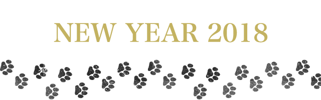 18年 年始コメント動画 Spitz Mobile