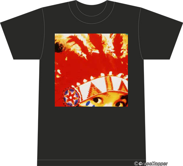 スピッツ30周年記念 完全受注生産 アルバムジャケ　　 Tシャツ 色々衣 スピッツ結成30周年記念 アナログ盤16作品発表記念 ジャケT祭り